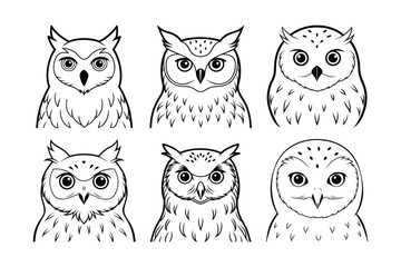 Snowy Owl (Bubo scandiacus) animal design, labeled line art vector art illustration.