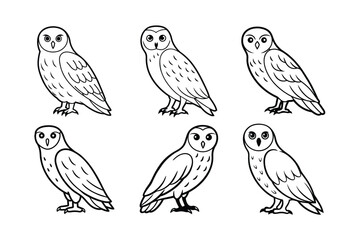 Snowy Owl (Bubo scandiacus) animal design, labeled line art vector art illustration.
