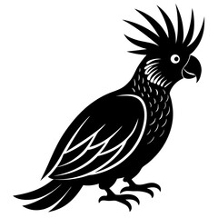 animal cockatoo