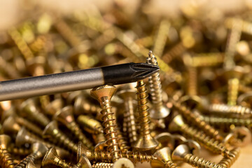 self tapping screws with a beautiful color for finishing and decorative work in construction
