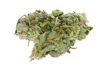 green marijuana bud