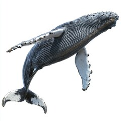 Obraz premium Majestic Humpback Whale Swimming Gracefully in Clear Blue Ocean Water, Under the Sunlight Glimmering on the Surface