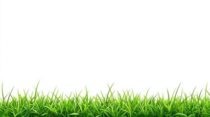 Obraz premium Lush Green Grass Border on White Background for Nature Themes, Design Projects, and Floral Arrangements