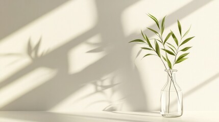 Sunlight illuminates plant in glass vase on shelf