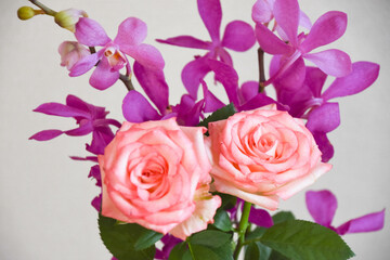 薔薇とアランダ