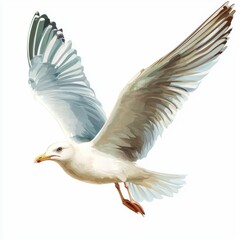 Obraz premium Graceful Seagull Soaring in the Sky with Detailed Feather Patterns and Vibrant Colors