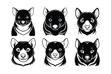 Tasmanian Devil (Sarcophilus harrisii) animal design, labeled line art vector art illustration.