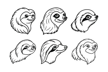 Three-Toed Sloth (Bradypus tridactylus) animal design, labeled line art vector art illustration.