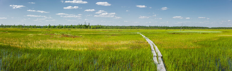 Ilmakkiaapa Bird Watching Trail in Lappland, Finnland,