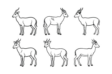 Tibetan Antelope (Pantholops hodgsonii) animal design, labeled line art vector art illustration.