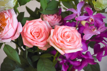 薔薇とアランダ