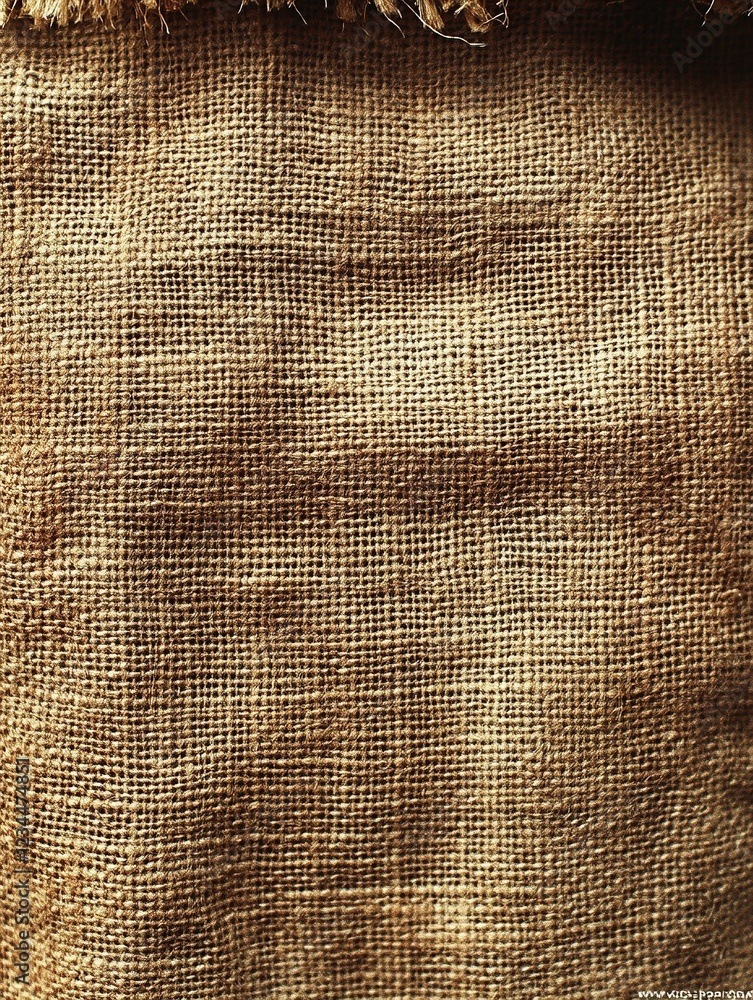 Poster close-up of rough woven fabric with fringe; background is solid; for rustic texture
