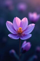 Fototapeta premium A Delicate Purple Bloom in Soft Light, Exhibiting Exquisite Detail and a Gentle, Dreamlike Quality