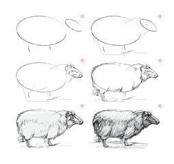 Page shows how to learn to draw from life sketch a cute sheep. Pencil drawing lessons. Educational page for artists. Textbook for developing artistic skills. Online education. Vector illustration.