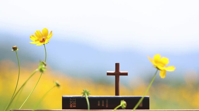 The cross of Jesus Christ and the holy bible, beautiful yellow flowers and prayer and worship background
