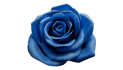 青い薔薇　白背景　背景透過可能