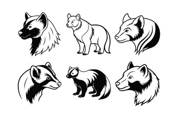 Wolverine (Gulo gulo) animal design, labeled line art vector art illustration.