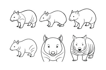 Wombat (Vombatus ursinus) animal design, labeled line art vector art illustration.