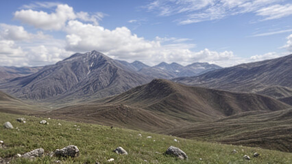 Fototapeta premium sheep in the mountains