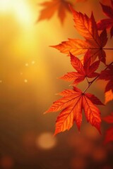 Autumnal foliage illuminated by the warm glow of sunset, showcasing the vibrant colors of nature's seasonal transition.