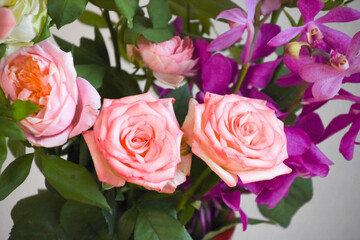 薔薇とアランダ