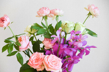 薔薇とアランダ