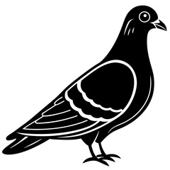 vector illustration of dove