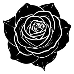 black rose vector illustration
