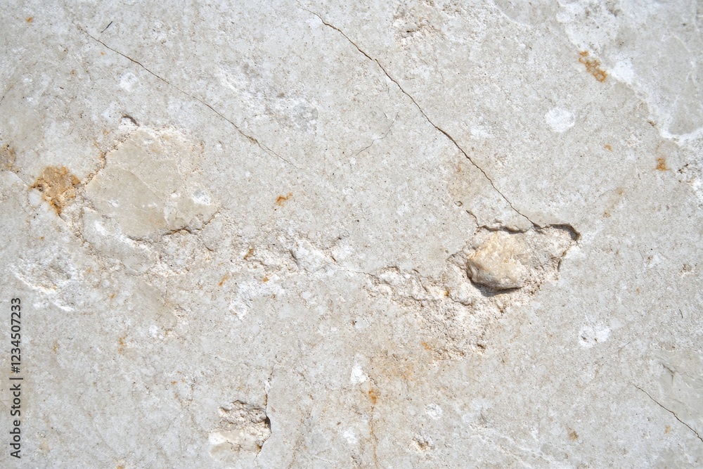 Poster light gray marble texture with subtle patterns and natural elements