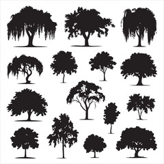 set of black vector willow tree silhouette  © Abdur Razzak ID: #52