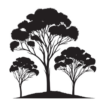 recommend clip art: Eucalyptus Tree Silhouette - Subtle Eucalyptus Tree Art for Print - Eucalyptus Tree Vector - Eucalyptus Tree Illustration - Minimalist Eucalyptus Silhouette - Eucalyptus Vector - Eucalyptus Digital Ar