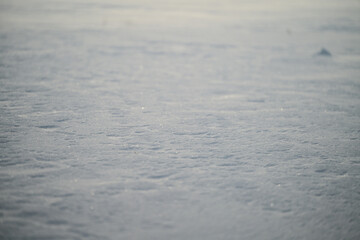 snow texture in winter