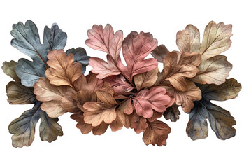 Diverse collection of dried leaves, cones, and acorns for herbarium study and display