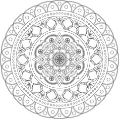 A vector illustration of a mandala with intricate patterns and geometric shapes