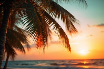 Beach seascape tree outdoors horizon.