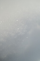 snow texture in the forest