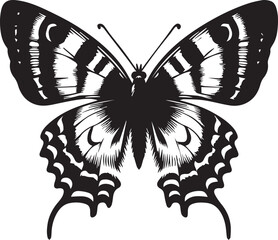 Butterfly art and illustration vector black on white background.