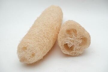 A close-up image of a natural loofah sponge, showcasing its fibrous, textured surface against white background