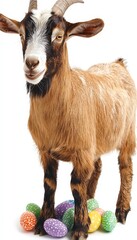 Fototapeta premium Playful Goat Surrounded by Colorful Easter Eggs on White Background