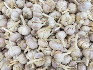 Fresh garlic scattered and displayed on a basket inside a supermarket grocery store. White garlics are used worldwide in any cooking as one of main ingredient. 