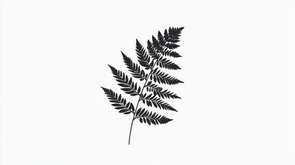 Naklejka premium Black fern frond, isolated on white, botanical illustration, nature design