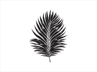Palm Leaf Silhouette | Black and White Tropical Illustration
