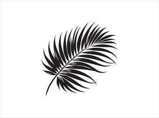 Palm Leaf Silhouette | Black and White Tropical Illustration
