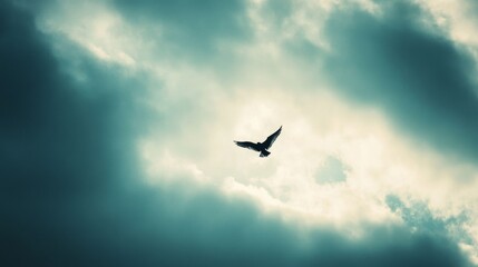 Fototapeta premium A lone bird in flight turns an empty sky into a story of freedom.