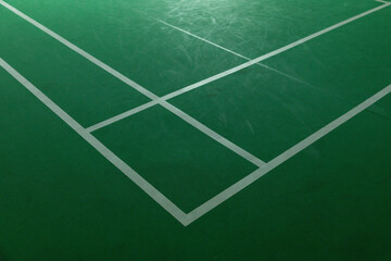 A green badminton court with a white line in the middle. indoor sport.