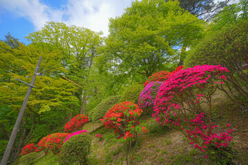 久保田城跡公園