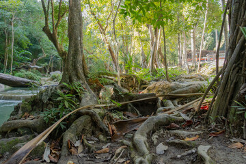 Seven-level Erawan Waterfall in Pattaya