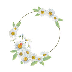 Fototapeta premium Delicate round floral frame with white daisies. Hand-drawn with watercolors. Perfect for wedding invitations, greeting cards, business cards.