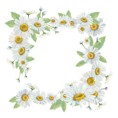 Fototapeta premium Frame of delicate watercolor daisies. Frame for your invitations to holidays and events. Hand-drawn frame with space for your text.