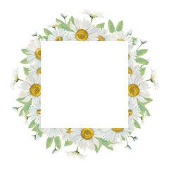 Symmetrical frame of watercolor white daisies. Delicate illustration for postcards, invitations, menus.